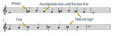 What is an Accidental in Music? And How Does It Color the Emotional Palette of a Musical Composition?